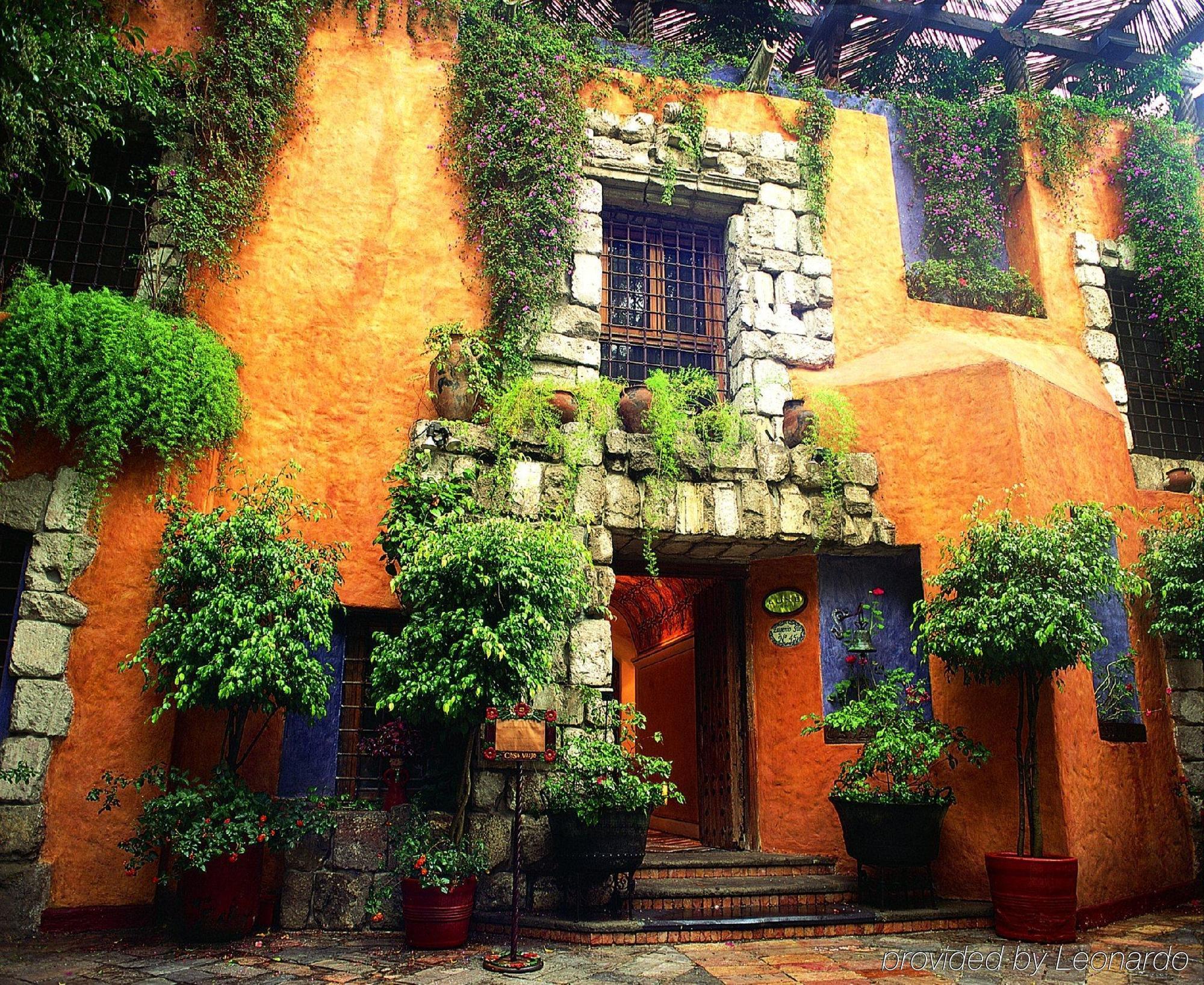 Busue A Boutique Experience Hotel Mexico City Ngoại thất bức ảnh